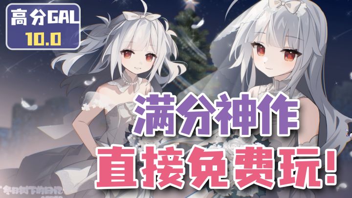 【高分GAL】steam好评如潮！白毛萝莉视觉小说续作，直接免费玩！截图