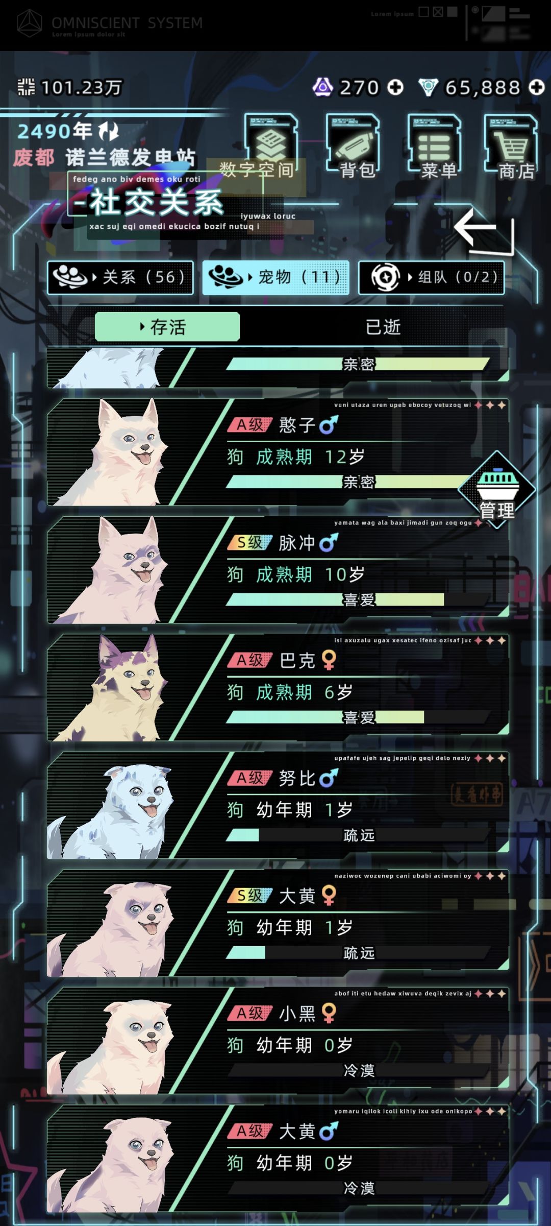 哇塞两胎都是三只狗! 8