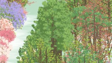 今天实现了樱桃🍒自由！