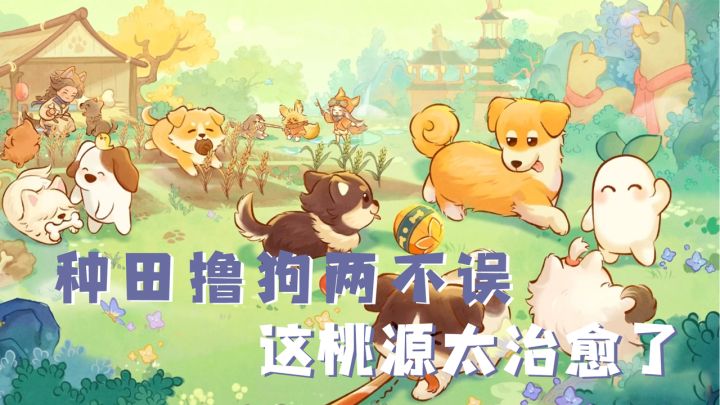 惬意田园生活真实养狗日常!来萝萝山领养属于你的田园小狗截图