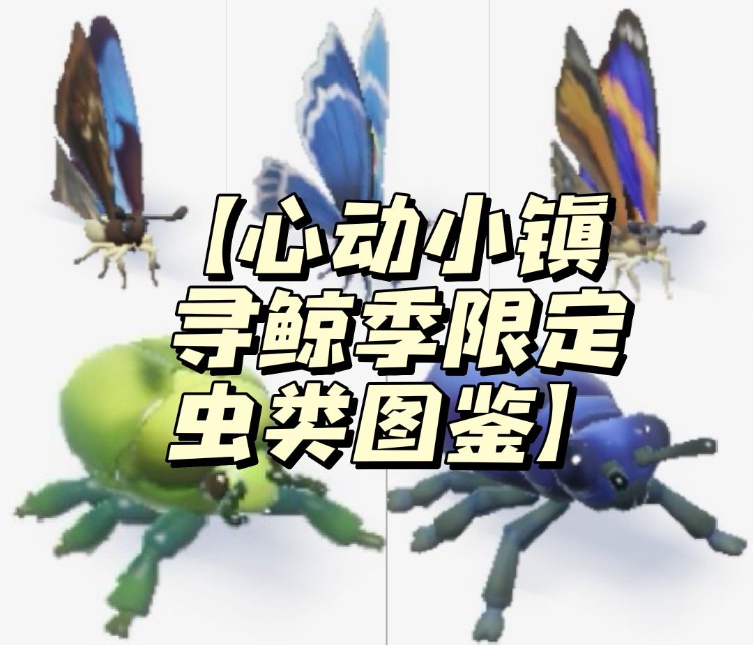 【心动小镇寻鲸季限定虫类图鉴】 1