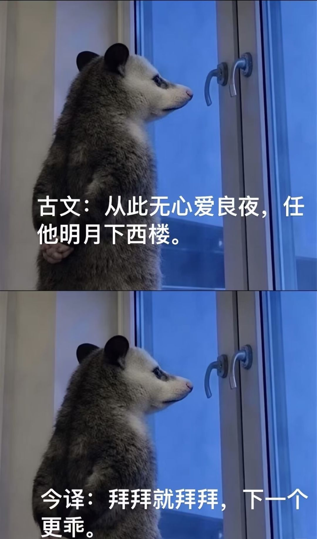 【开心一笑】古文今译配负手鼠的搞笑结合。 9