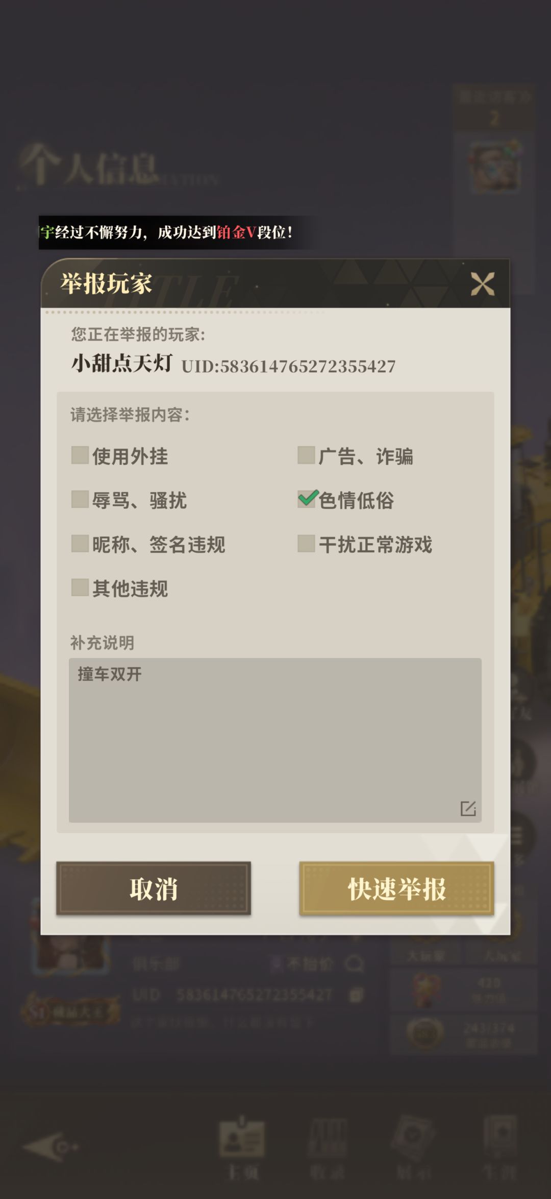 双开,干扰正常游戏 5