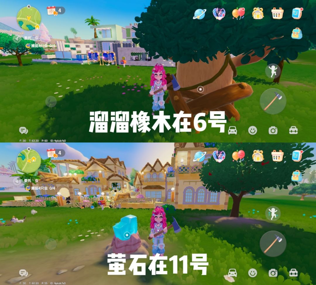 8月19日溜溜橡木和萤石 1