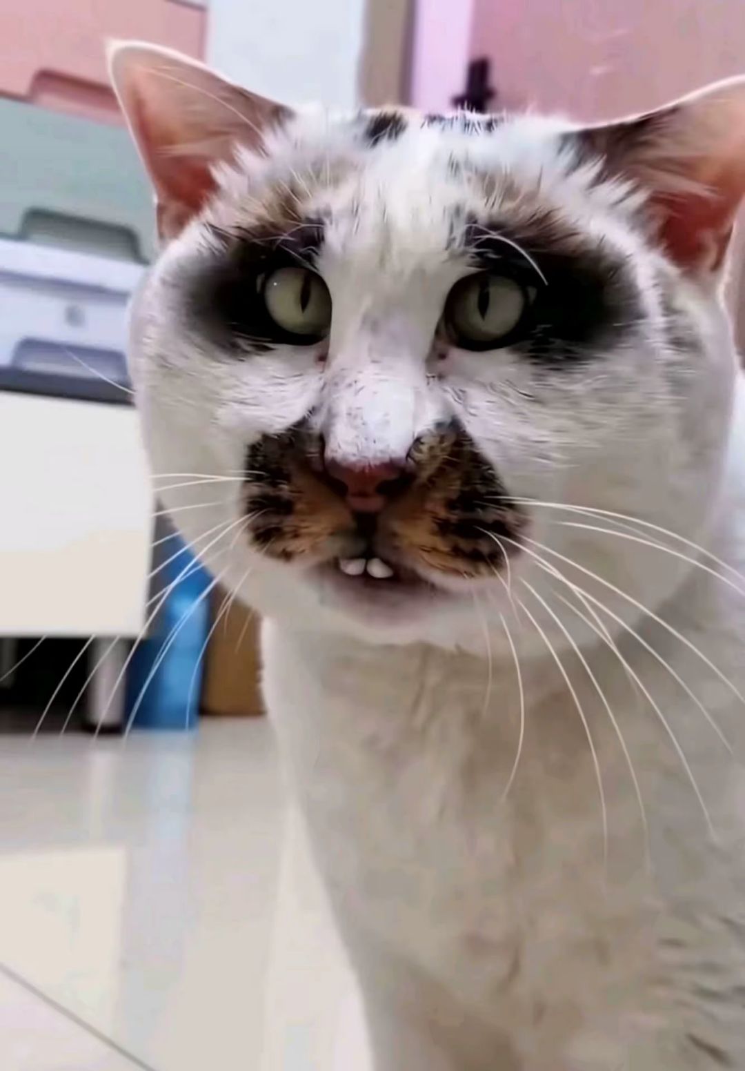 卡死了 1