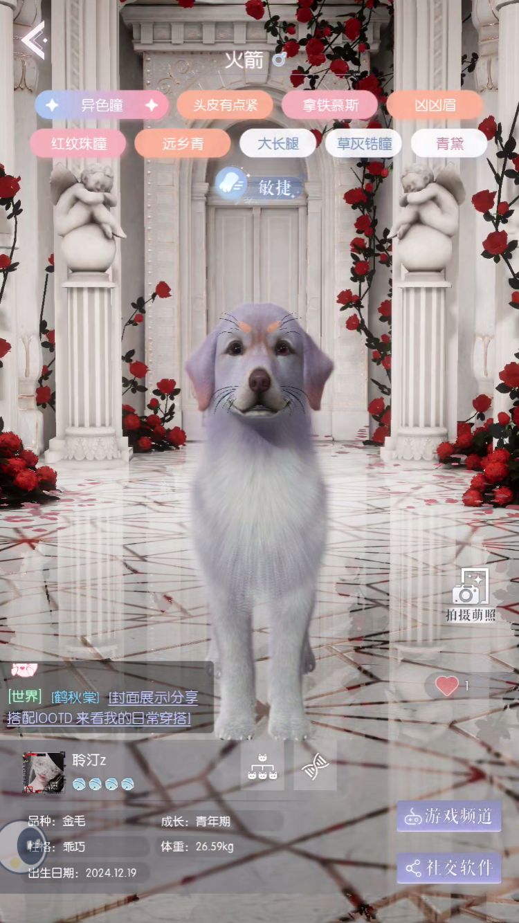 动态图片 9
