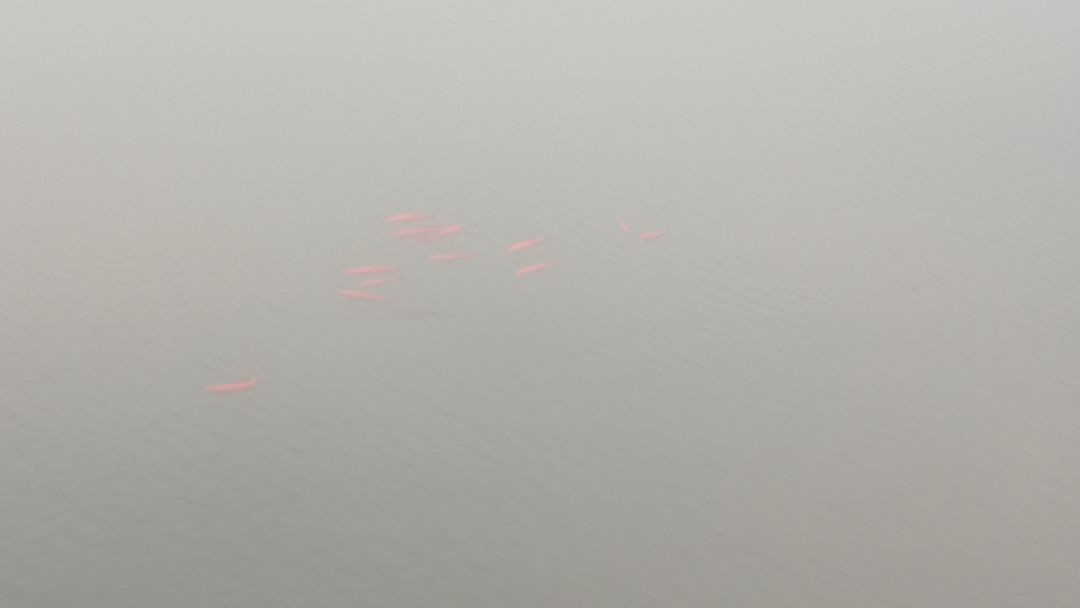 果然，长时间一个人活会变老，而且会疯 6
