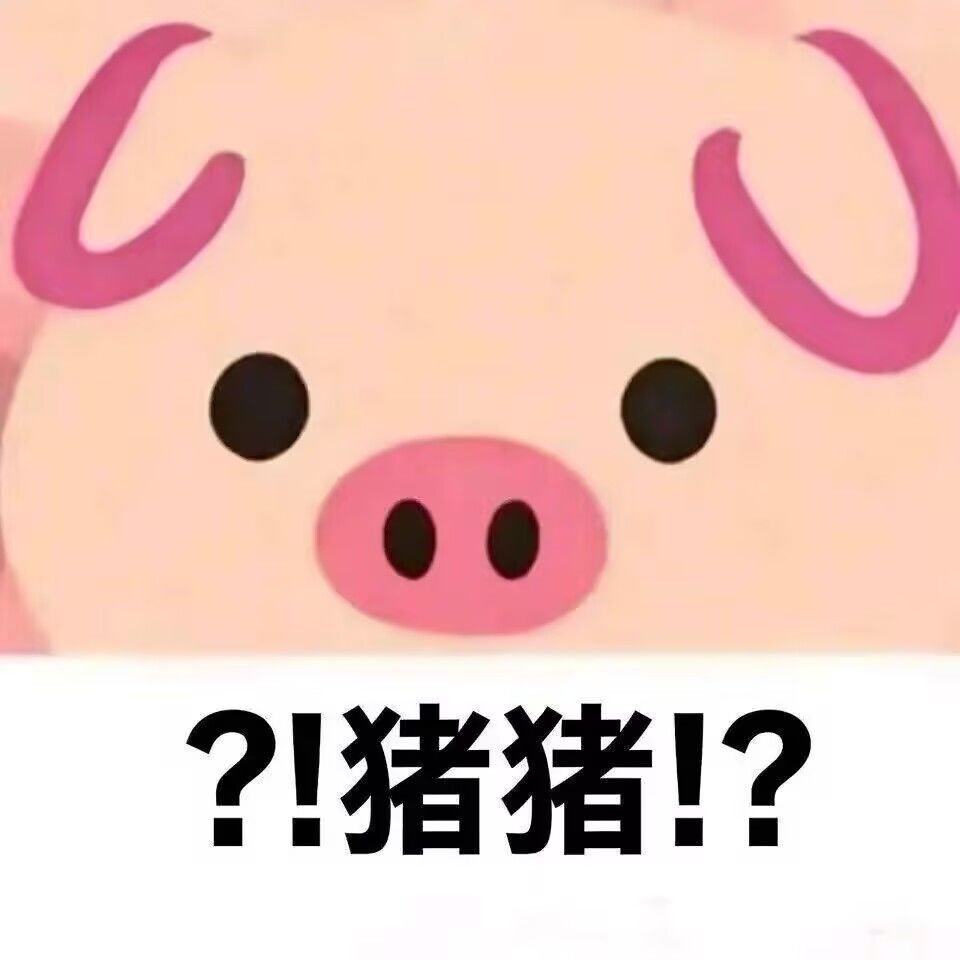 野区新人！300级弩盾打野简单攻略~截图