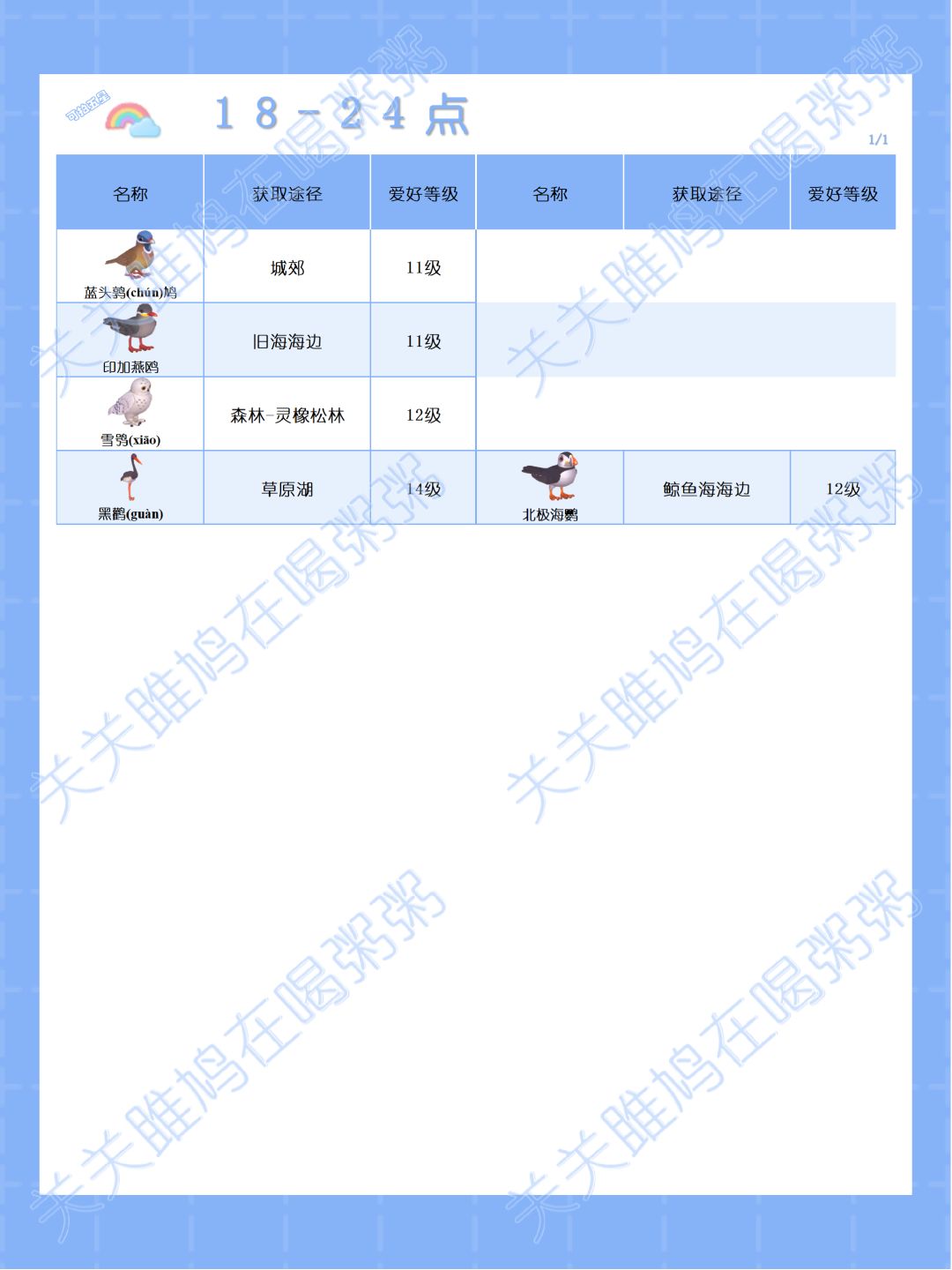 心动小镇彩虹天观鸟图鉴 5