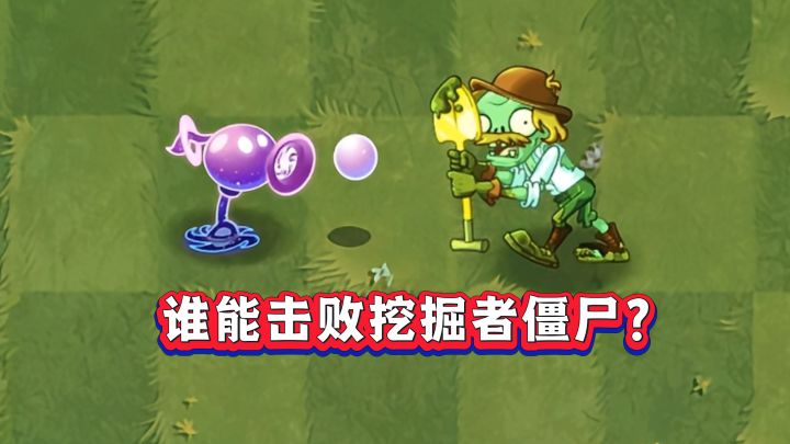 一阶豌豆大测试:挖掘者僵尸能格挡哪些豌豆?截图