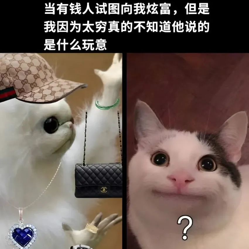 今日份梗图分享 1