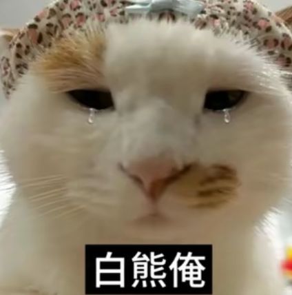一区盲盒/ss+可换剧情截图