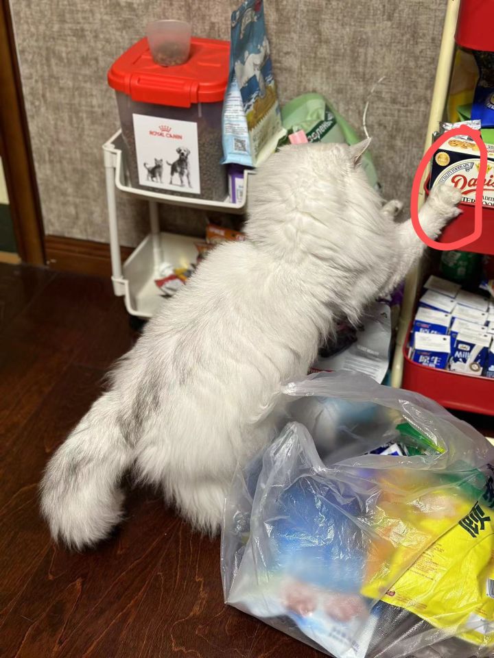 快跑截图