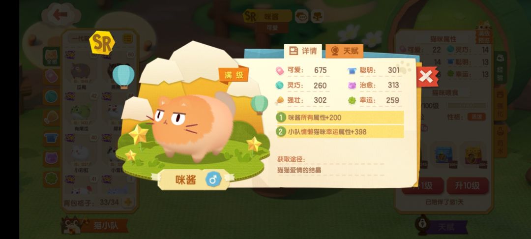 生猫记录 2