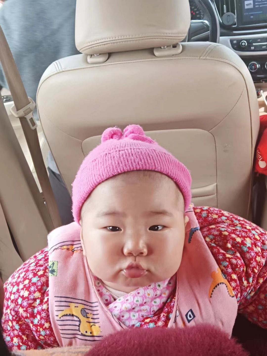 动态图片 1