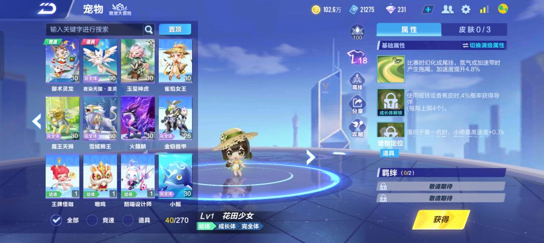 赛车宠物怎么带 3