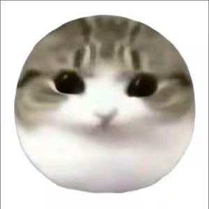 妙脆角小猫😚 5