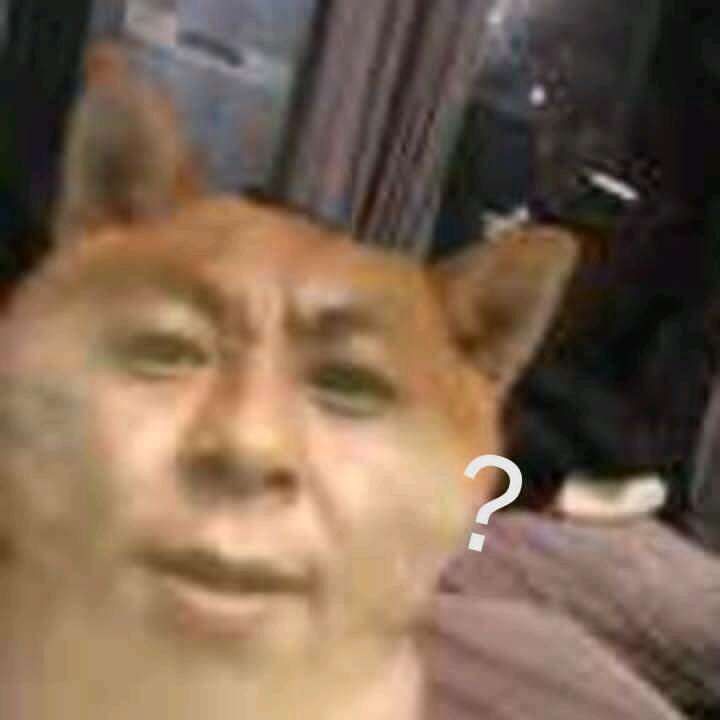 面筋瞬杀有BUG,贴脸大概率丢伤害 1