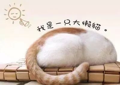 有没有大佬带我玩啊版本落后太多了跟不上了 1