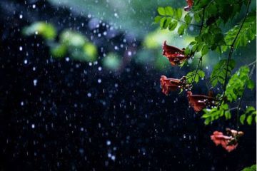 雨是怎么形成的呢？