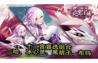 12宫通关盲选组合：二哈冰心灵、黑胡子、布玛