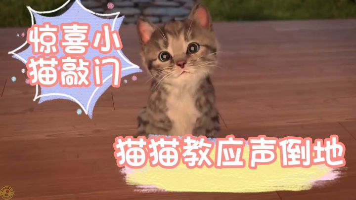 绑架代替购买之——夭寿啦!有小猫当街绑架两脚兽!截图