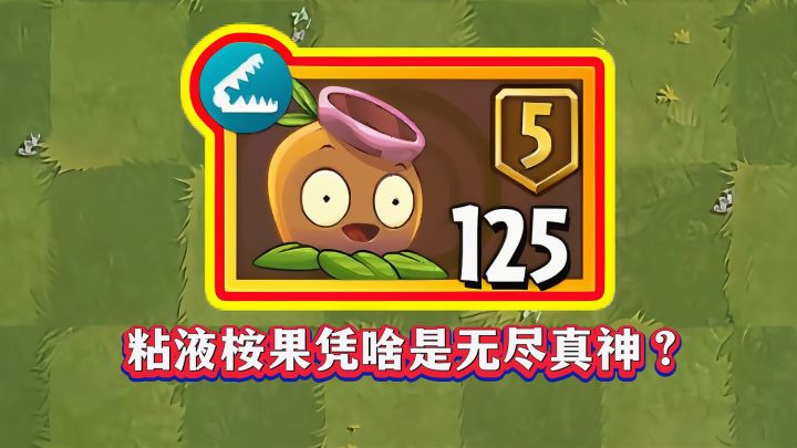粘液桉果凭啥成无尽真神？1-5阶实测揭秘截图