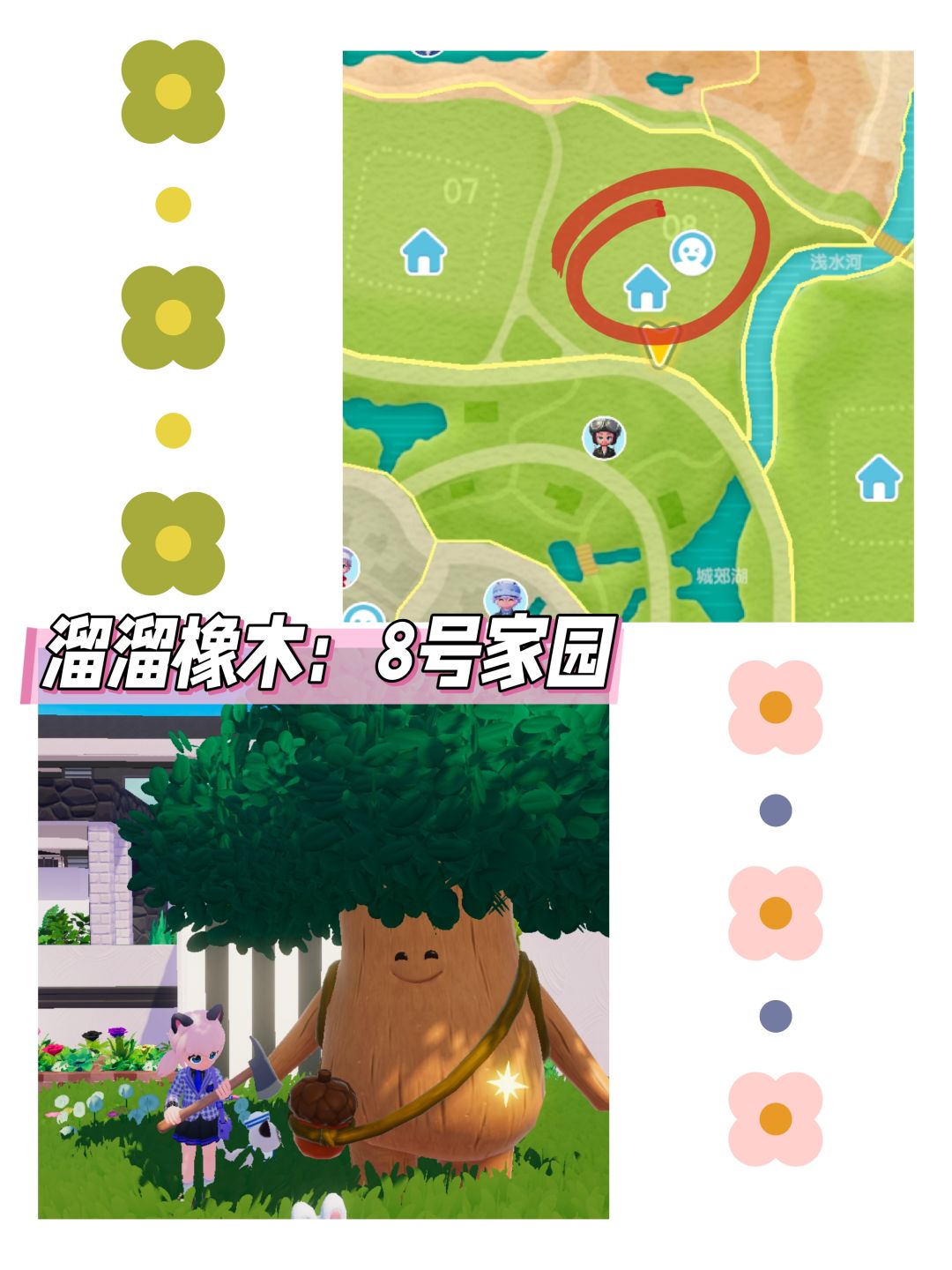 心动小镇日报(12.4)溜溜橡木＋无暇萤石 3