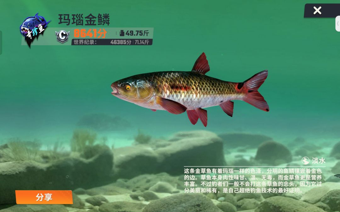 家人们新手一天钓的鱼,还有其他4条 3