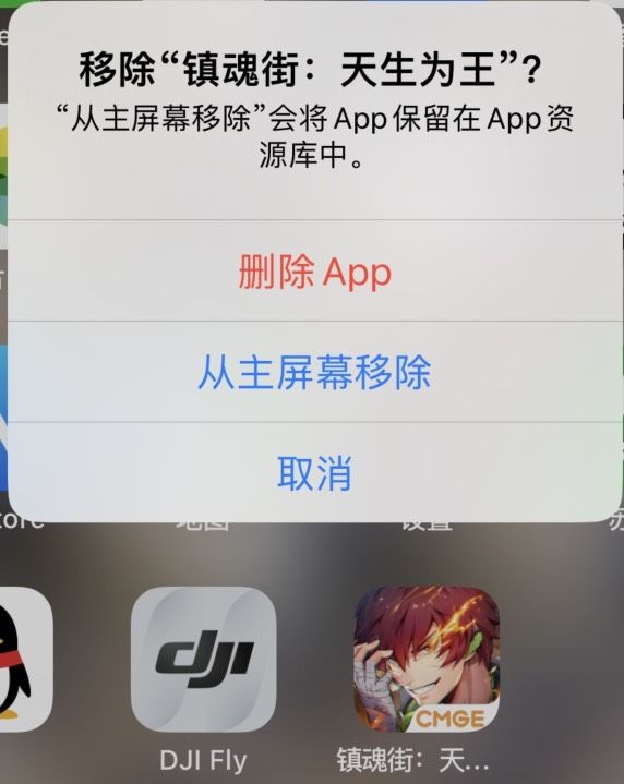 动态图片 3