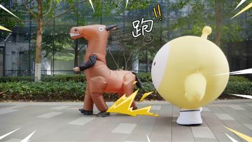 抓抓！我的小马马！