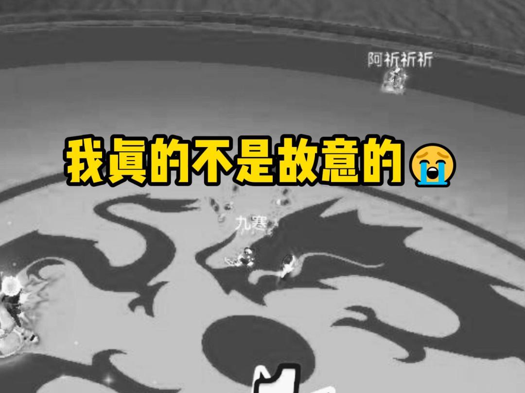 video-3911450