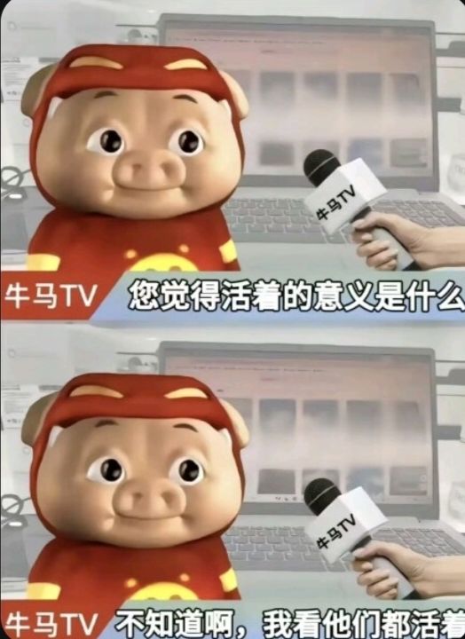 又是没忍住开金箱子截图