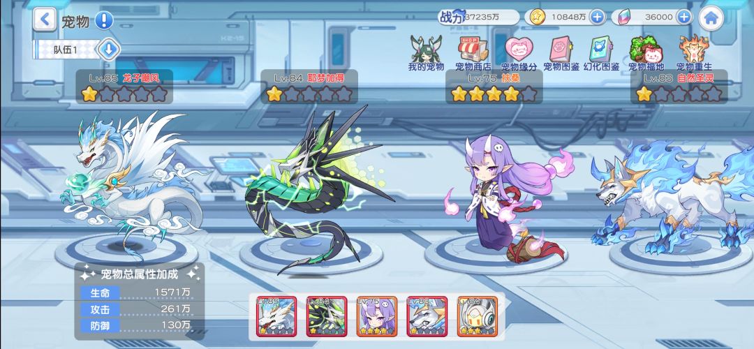 求大佬指导暗队养成 2