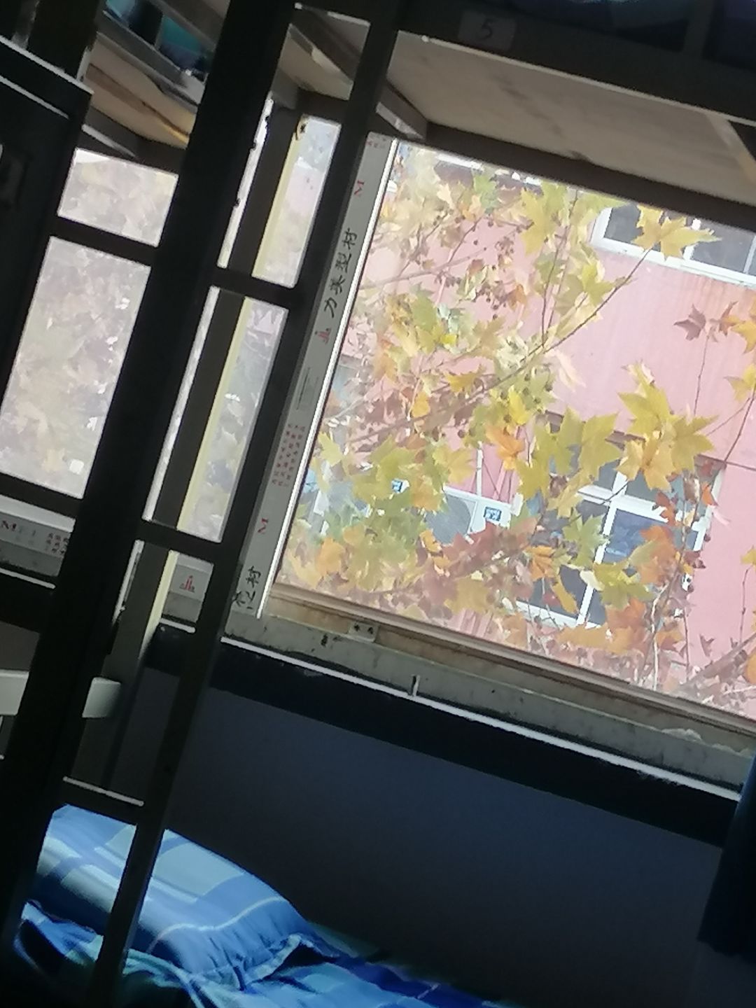 日常 3