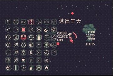 黎明前20分钟 树有什么用