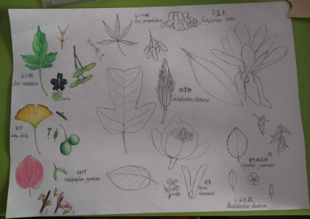 发下最近的屑画() 2