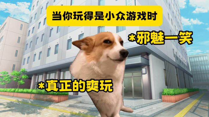 【猫meme】你以为的小众回合制卡牌游戏VS实际上的截图