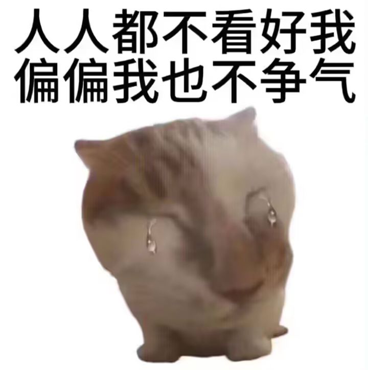 宽哥能延期就延期吧截图
