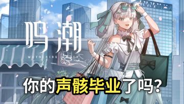 【鸣潮】传家宝还是摆烂套？你的声骸毕业了吗？