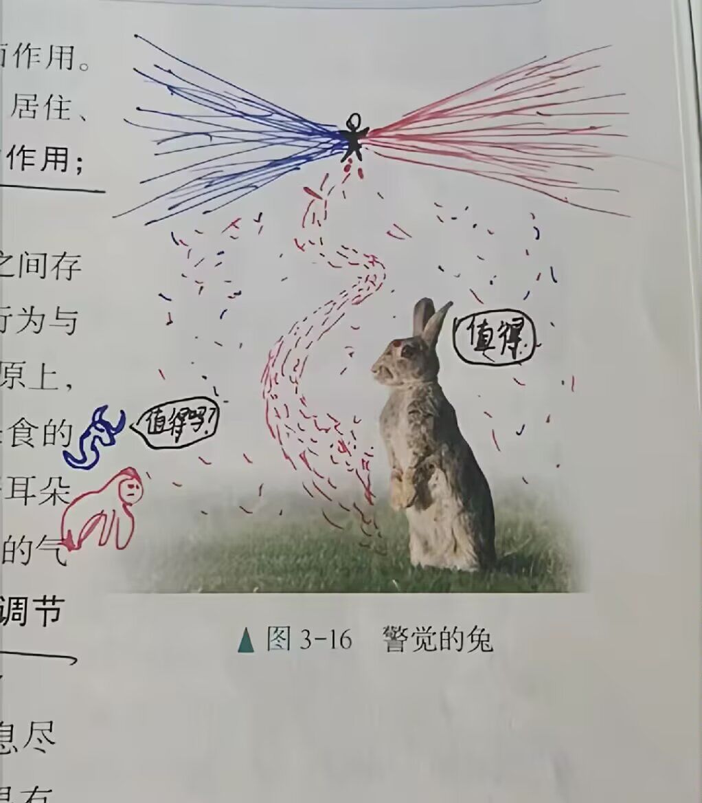 崽崽,真的值得吗? 1