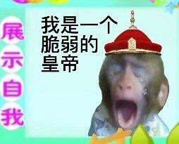 有人一起建档玩嘛 1