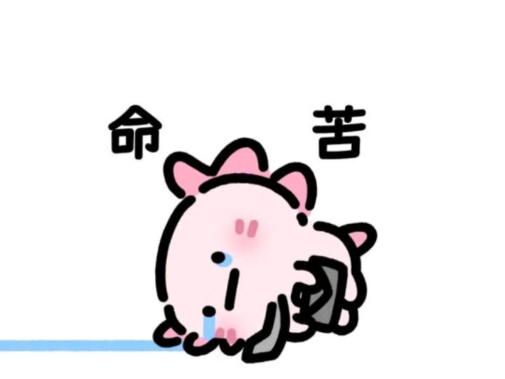 突然想起来还有不到一个月我们就要上学了[表情_豹哭]截图