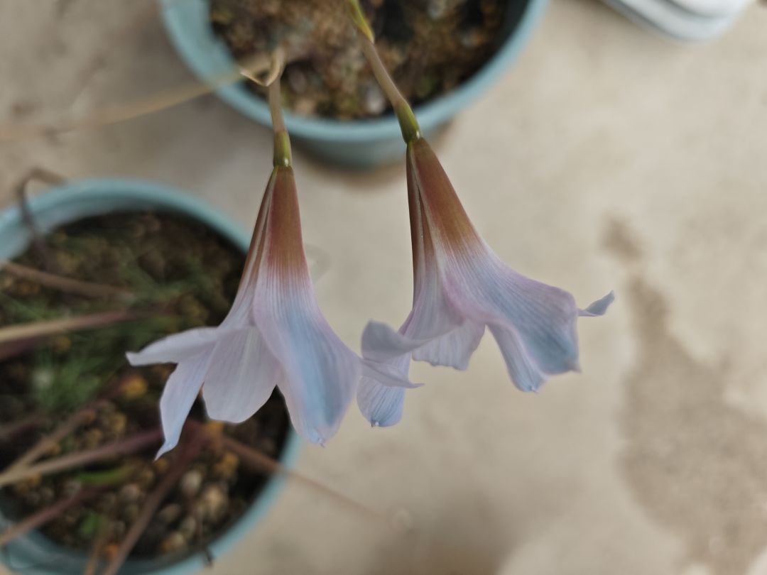 夏天 3