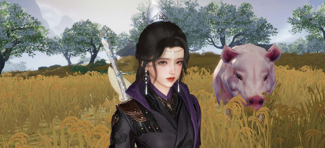 满级了买套衣服回稻香村同富贵家猪合拍一组 1