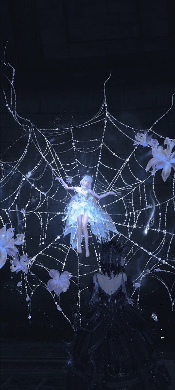 捕食的蜘蛛和被捕的飞蛾