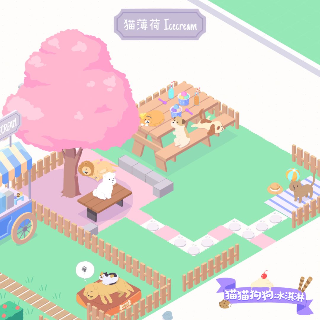发帖领猫猫大礼包 1