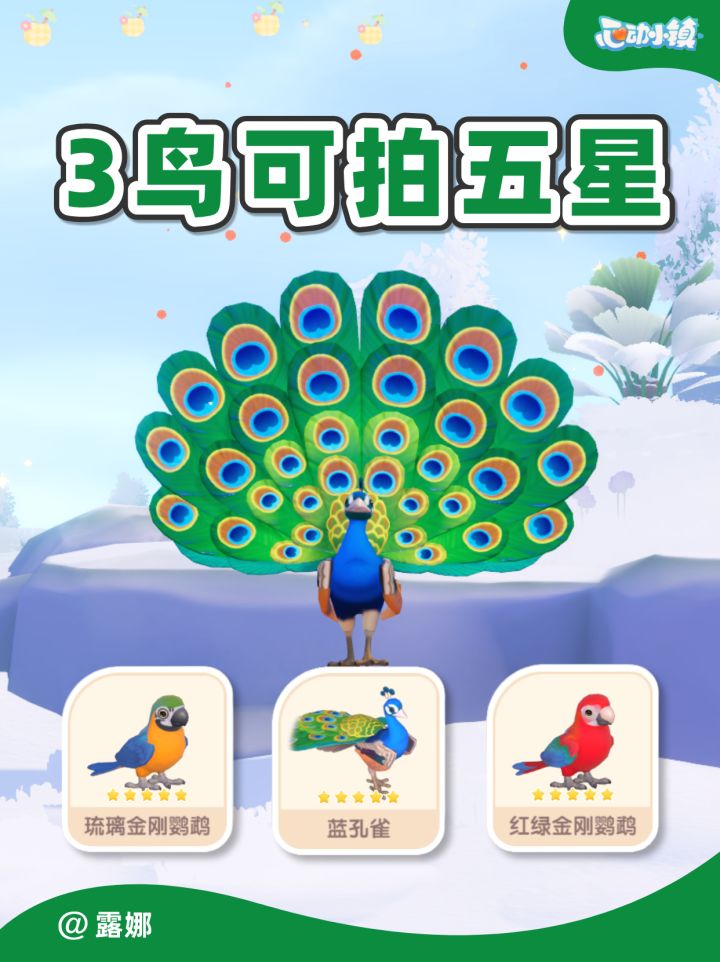 3只新鸟观鸟五星攻略 琉璃+红蓝鹦鹉 蓝孔雀截图