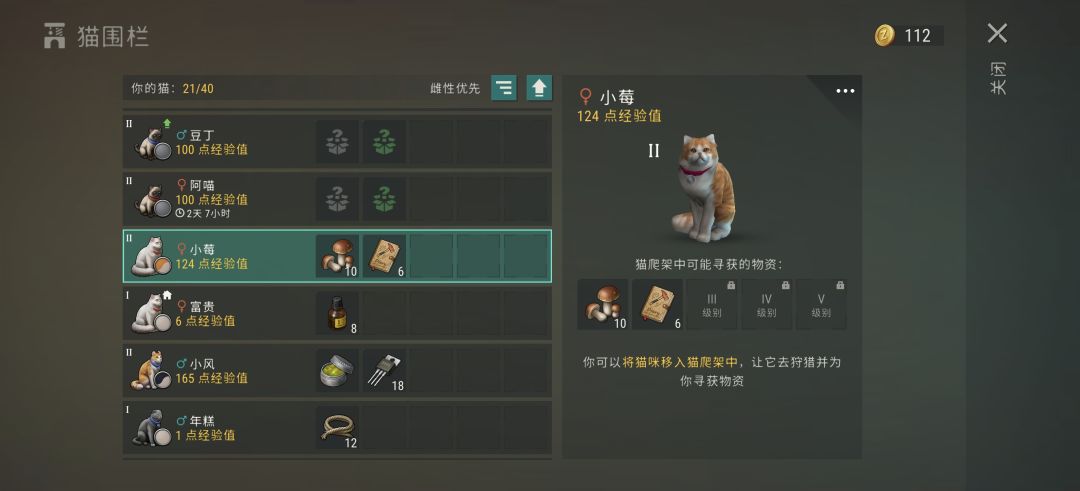 这猫如果新手有就爽了 1