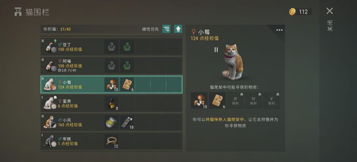 这猫如果新手有就爽了截图